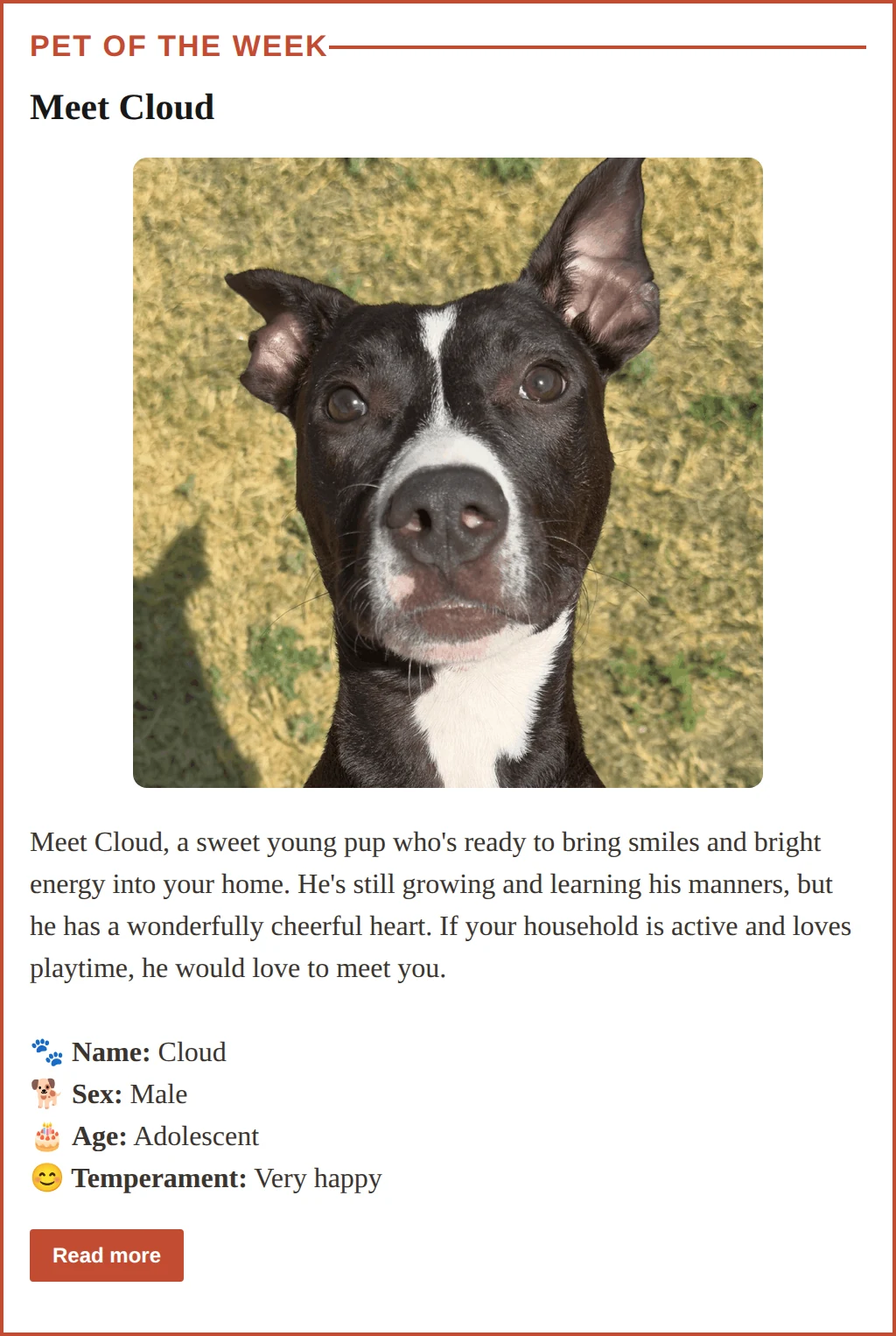Pet of the Week section from the Sep 22 Leander Scoop