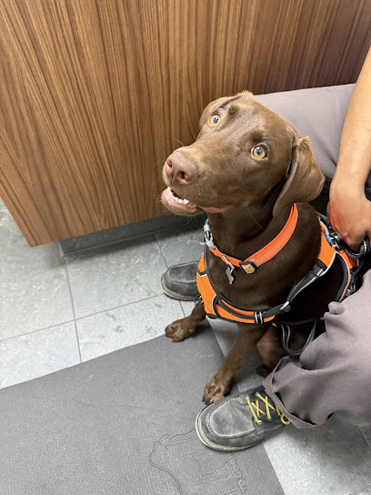 🐾 Unrushed Visits for Henderson Pets photo